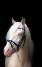 lieve alround e pony, Dieren en Toebehoren, Pony's, B, Ruin, Springpony, 11 jaar of ouder