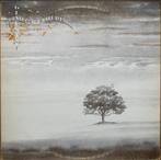 Genesis - Wind & Wuthering, Ophalen of Verzenden, Gebruikt, 12 inch, Poprock