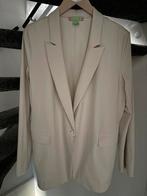 Blazer (xxl)+broek (xl)studio Anneloes, Kleding | Dames, Jasjes, Kostuums en Pakken, Ophalen of Verzenden, Zo goed als nieuw, Maat 46/48 (XL) of groter