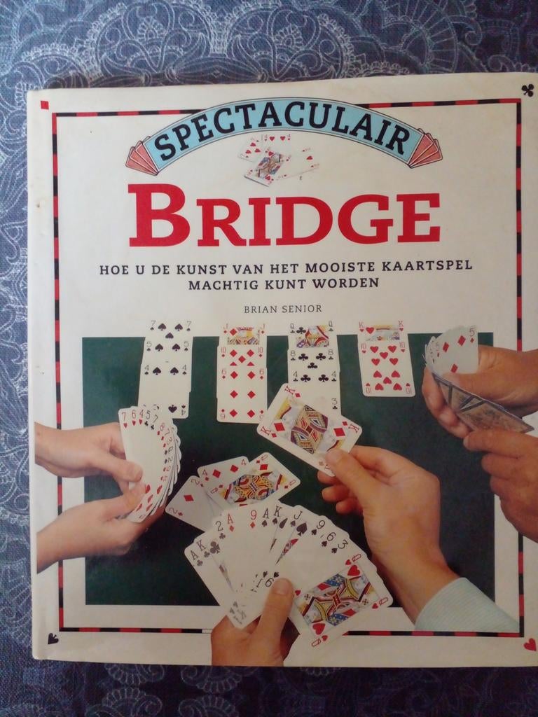 Spectaculair Bridge Boek - Leer Bridge Spelen!, Ophalen of Verzenden, Zo goed als nieuw