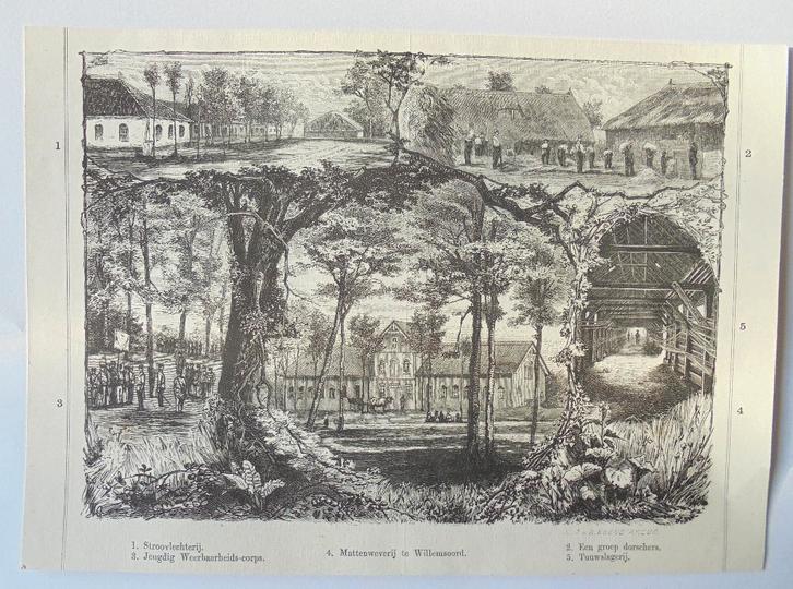 Steendruk WILLEMSOORD (Steenwijk mattenweverij, touwslagerij, Verzamelen, Ansichtkaarten | Nederland, Ongelopen, Overijssel, Voor 1920