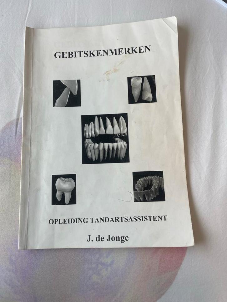 Gebitskenmerken Tandartsassistent - J. de Jonge, Boeken, Techniek, Gelezen, Overige onderwerpen, Ophalen of Verzenden
