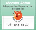Bijles voor de basisschool in Utrecht door meester Anton, Diensten en Vakmensen, Bijles, Privé-les en Taalles, Bijles