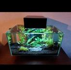 Fluval Edge aquarium, Dieren en Toebehoren, Vissen | Aquaria en Toebehoren, Ophalen of Verzenden, Gebruikt, Filter of Co2