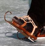 Onderhoud, slijpen en restaureren doorlopers, Dieren en Toebehoren, Ophalen, Zo goed als nieuw, Overige soorten