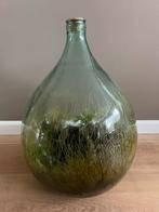 Planten terrarium inclusief toebehoren, Huis en Inrichting, Groen, Glas, Zo goed als nieuw, 50 tot 75 cm