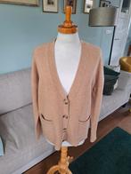 Gigue vest maat 42, Kleding | Dames, Gigue, Ophalen of Verzenden, Zo goed als nieuw, Maat 42/44 (L)