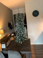 Everlands Snowy Pencil Pine, Ophalen, Zo goed als nieuw