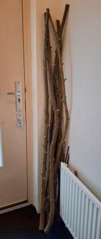 Knotwilg verse takken, Dieren en Toebehoren, Vogels | Toebehoren, Ophalen, Nieuw, Kooi-accessoires