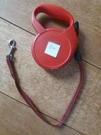 Diverse Honden riemen, Dieren en Toebehoren, Ophalen, Gebruikt, Hondenriem