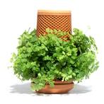 Tevaplanter - Duurzame Plantenpot, Tuin en Terras, Bloempotten, Rond, Ophalen of Verzenden, Aardewerk, Binnen