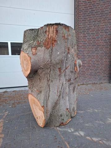 beukenhout beschikbaar voor biedingen