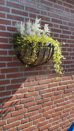Stalen Plantenkorf - Wanddecoratie, Gebruikt, Minder dan 60 cm, Metaal, Overige vormen