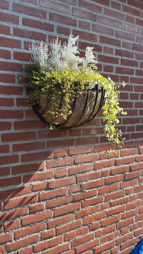 Stalen Plantenkorf - Wanddecoratie, Tuin en Terras, Bloembakken en Plantenbakken, Gebruikt, Metaal, Balkon, Tuin, 30 tot 60 cm