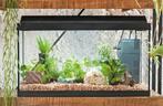 aquarium, Dieren en Toebehoren, Vissen | Aquaria en Toebehoren, Ophalen, Zo goed als nieuw, Leeg aquarium