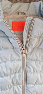 Bodywarmer lichtblauw maat L XL 42 44, Kleding | Dames, Ophalen of Verzenden, Zo goed als nieuw, Maat 42/44 (L), Blauw