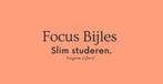 Focus bijles - Studie Succes 🍀 📚, Privéles, Bijles