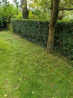 Tuinman/hovenier/tuinhulp gezocht aangeboden