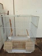 Vogelkooitje stuks, Dieren en Toebehoren, Vogels | Hokken en Kooien, Ophalen