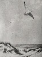 Maarten Langbroek De kust ets, Antiek en Kunst, Kunst | Etsen en Gravures, Ophalen of Verzenden