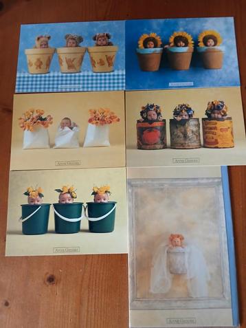 Anne Geddes Baby ansichtkaarten  beschikbaar voor biedingen