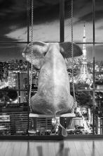 Schilderij 'Lonely Elephant on Swing Black and White', Ophalen