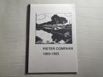 Pieter Compaan 1903 - 1983. Groningen. Den Haag., Verzenden, Zo goed als nieuw, Zie beschrijving, Schilder- en Tekenkunst