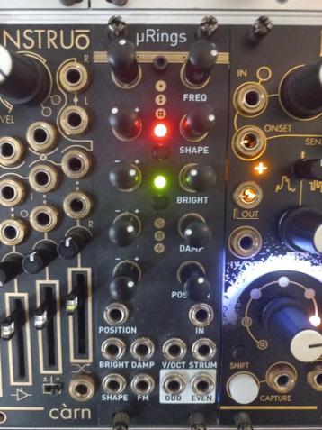 Mutable Instruments / Tomatek - Rings (eurorack module) beschikbaar voor biedingen