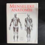 Menselijke anatomie voor kunstenaars, Gelezen, Dr. Gyorgy Feher, Ophalen of Verzenden, Schilder- en Tekenkunst