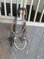 L'equi Stang&Trens hoofdstel Sandreo, Ophalen of Verzenden, Gebruikt, Dressuur