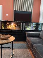 Terrarium 2.40 lang, Dieren en Toebehoren, Reptielen en Amfibieën | Toebehoren, Ophalen
