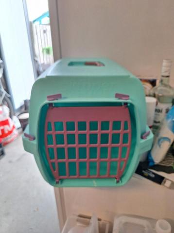 Kattenmand beschikbaar voor biedingen