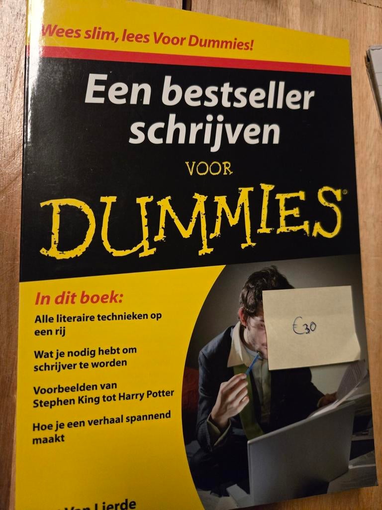 Boek: Een bestseller schrijven, Ophalen of Verzenden, Zo goed als nieuw