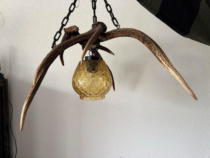 Unieke Gewei Lamp met Glazen Kap, Huis en Inrichting, Lampen | Hanglampen, Gebruikt, 75 cm of meer, Hout, Ophalen of Verzenden