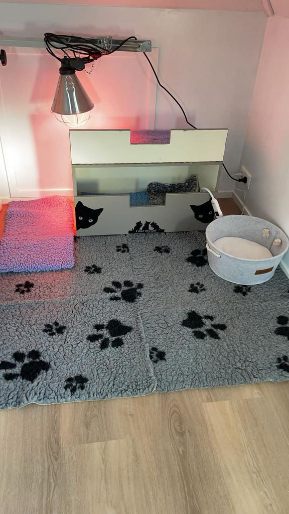 Werpkist kat met veel toebehoren, Dieren en Toebehoren, Katten-accessoires, Zo goed als nieuw, Ophalen