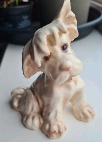 Cortendorf PORSELEIN dog terriër hondje 2663 beschikbaar voor biedingen