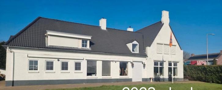 Opvang poezen en katten / dag op van / hondenuitlaatservice, Diensten en Vakmensen, Dieren | Katten | Verzorging, Oppas en Les