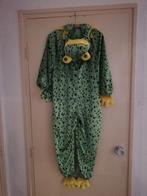 verkleedpak, Ophalen of Verzenden, Zo goed als nieuw, 134 t/m 140, Jongen of Meisje