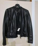 Damesjas (nieuw), Kleding | Dames, Jassen | Winter, Ophalen of Verzenden, Nieuw, Maat 42/44 (L), Zwart