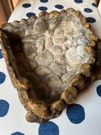 Exoterra hoek waterbak, Dieren en Toebehoren, Slang, 0 tot 2 jaar