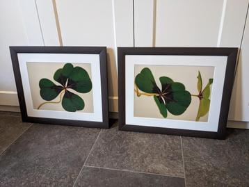 2 Mooie houten fotolijsten - 40x50 / 47x57 beschikbaar voor biedingen