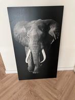 Olifanten poster, Huis en Inrichting, Woonaccessoires | Schilderijen, Tekeningen en Foto's, Ophalen, Zo goed als nieuw, 50 tot 75 cm