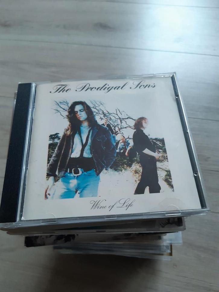 The Prodigal Sons - Wine of Life, Cd's en Dvd's, Cd's | Pop, Gebruikt, 1980 tot 2000, Ophalen of Verzenden