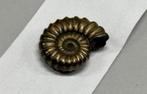 Iron pyrite ammonite fossil - Fossiel 196 miljoen jaar oud, Ophalen of Verzenden, Fossiel