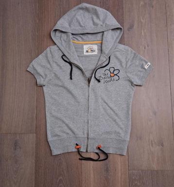 ZGAN: hoody/vestje korte mouwtjes zachtgrijs; mt 36/38; Guru beschikbaar voor biedingen