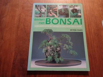 Werken met BONSAI - Peter Chan beschikbaar voor biedingen