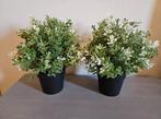 2x fejka kunstplant, tijm, 22cm hoog - 9cm breed, Ophalen, Zo goed als nieuw