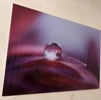 Paars schilderij plexiglas druppel, Antiek en Kunst, Ophalen