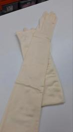 Crèmekleurige Lange Handschoenen, Kleding | Dames, Hoeden en Petten, Ophalen of Verzenden, Nieuw, One size fits all