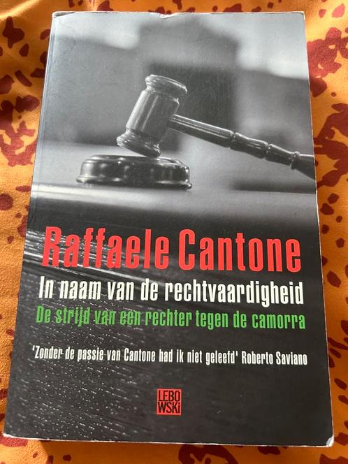 ZGAN: In de naam van rechtvaardigheid, Boeken, Thrillers, Zo goed als nieuw, Nederland, Ophalen of Verzenden